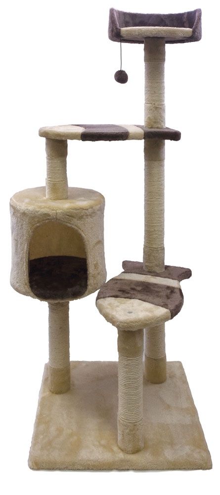 Burgham Fish Step Condo 49"