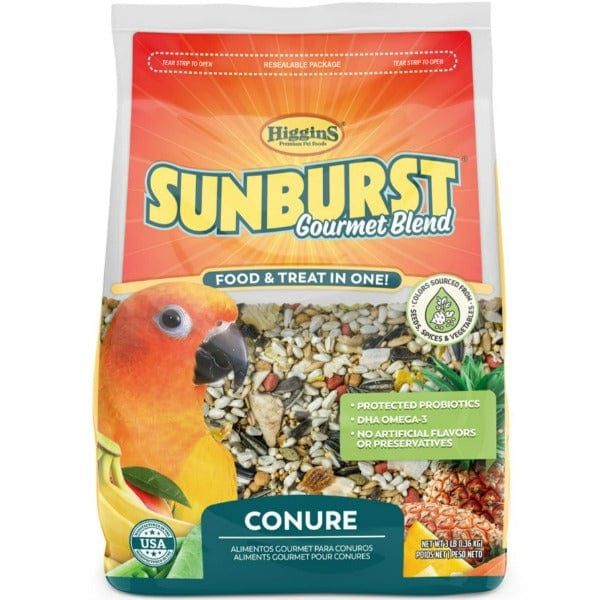 Conure SunBurst