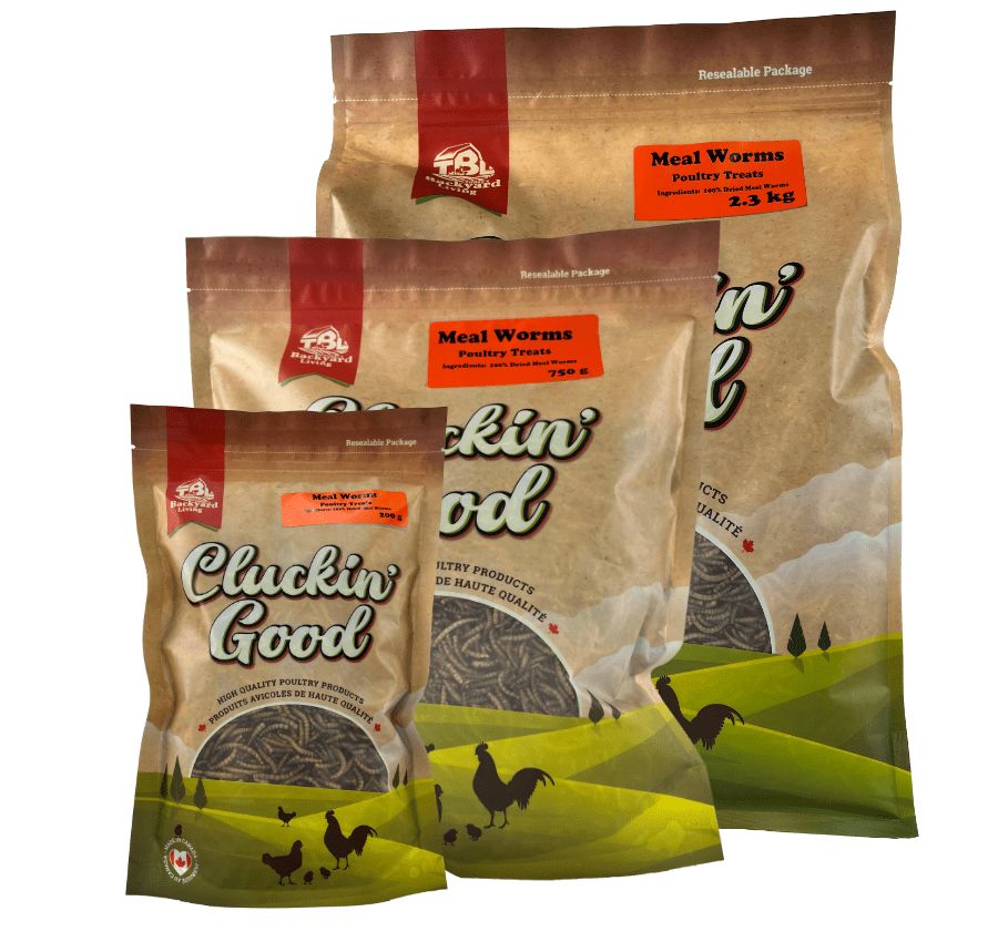 Cluckin Good Mealworms 2.3kg