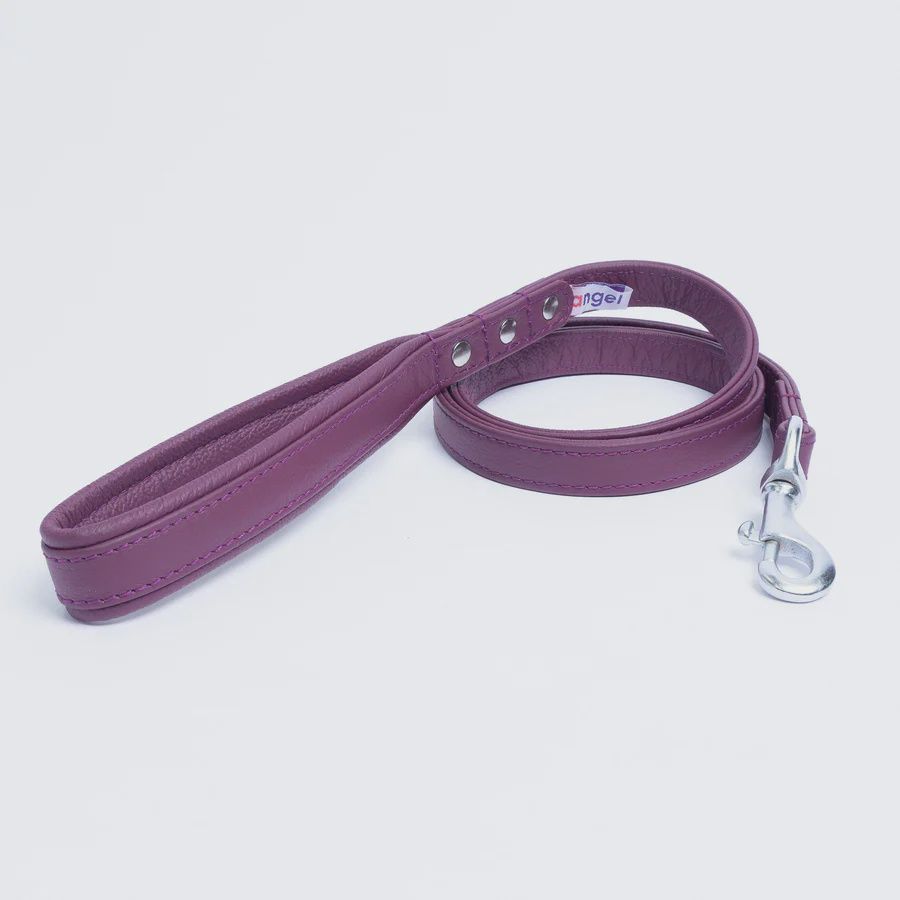 Angel Leather Alpine 48"x3/4" Orchid purple Leash
