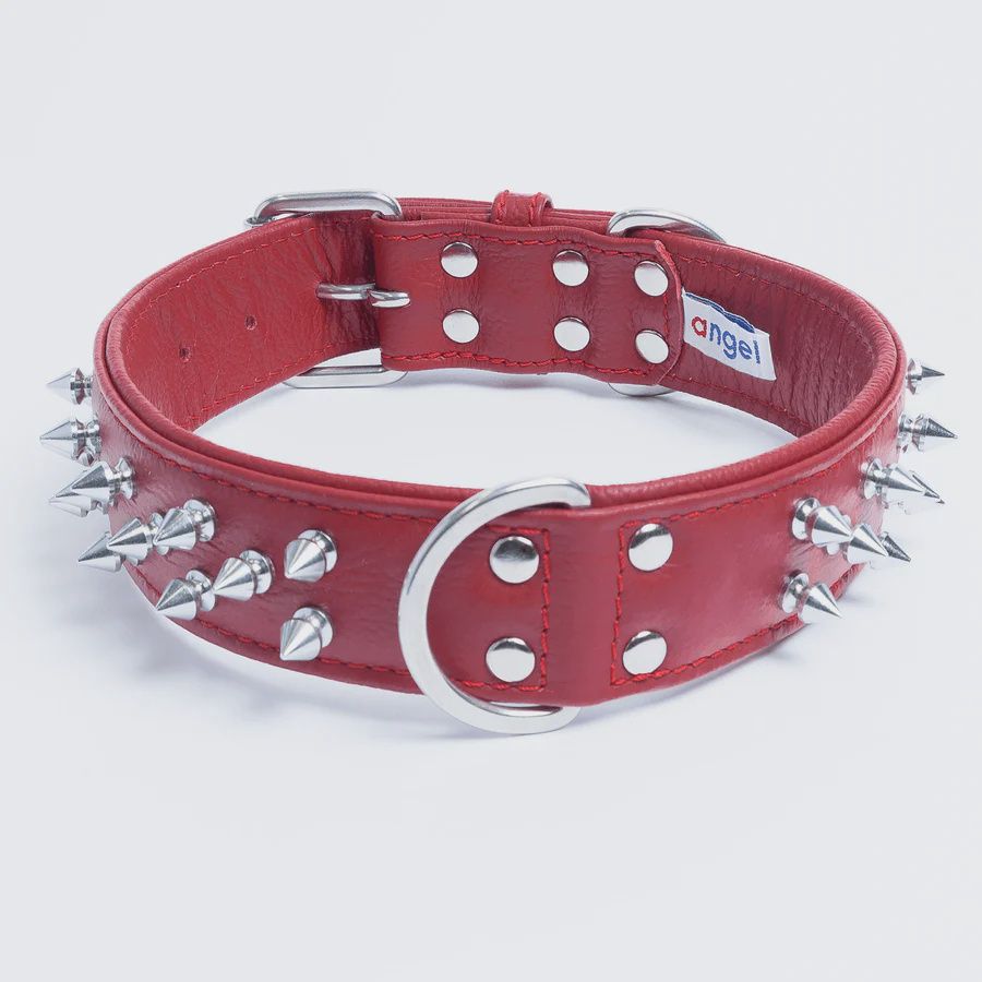 Angel 22"x1.5" Spiked Leather Collar red