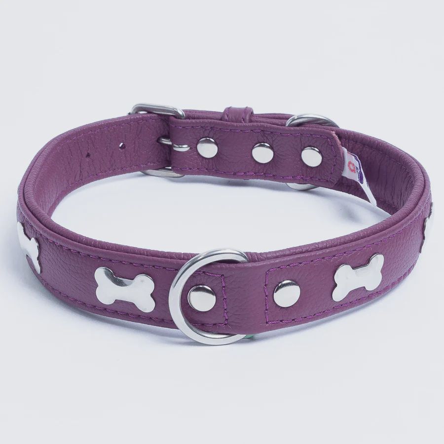 Angel Leather Bones Collar  24"x1.25" Orchid purple