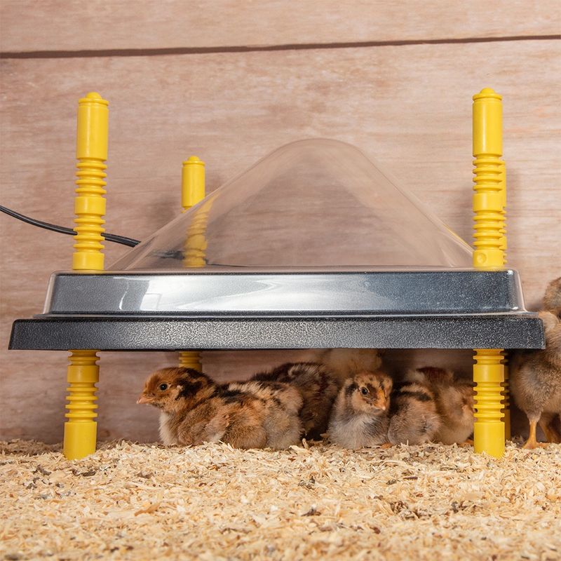 12 x12 Brooder Heat Plate
