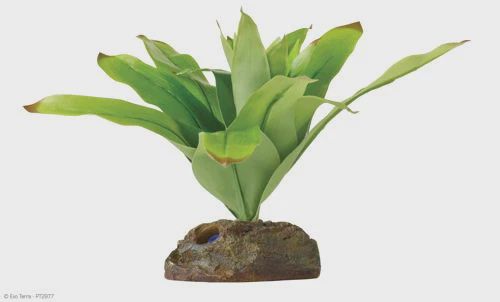 Exo Terra Dart Frog Bromelia Lg