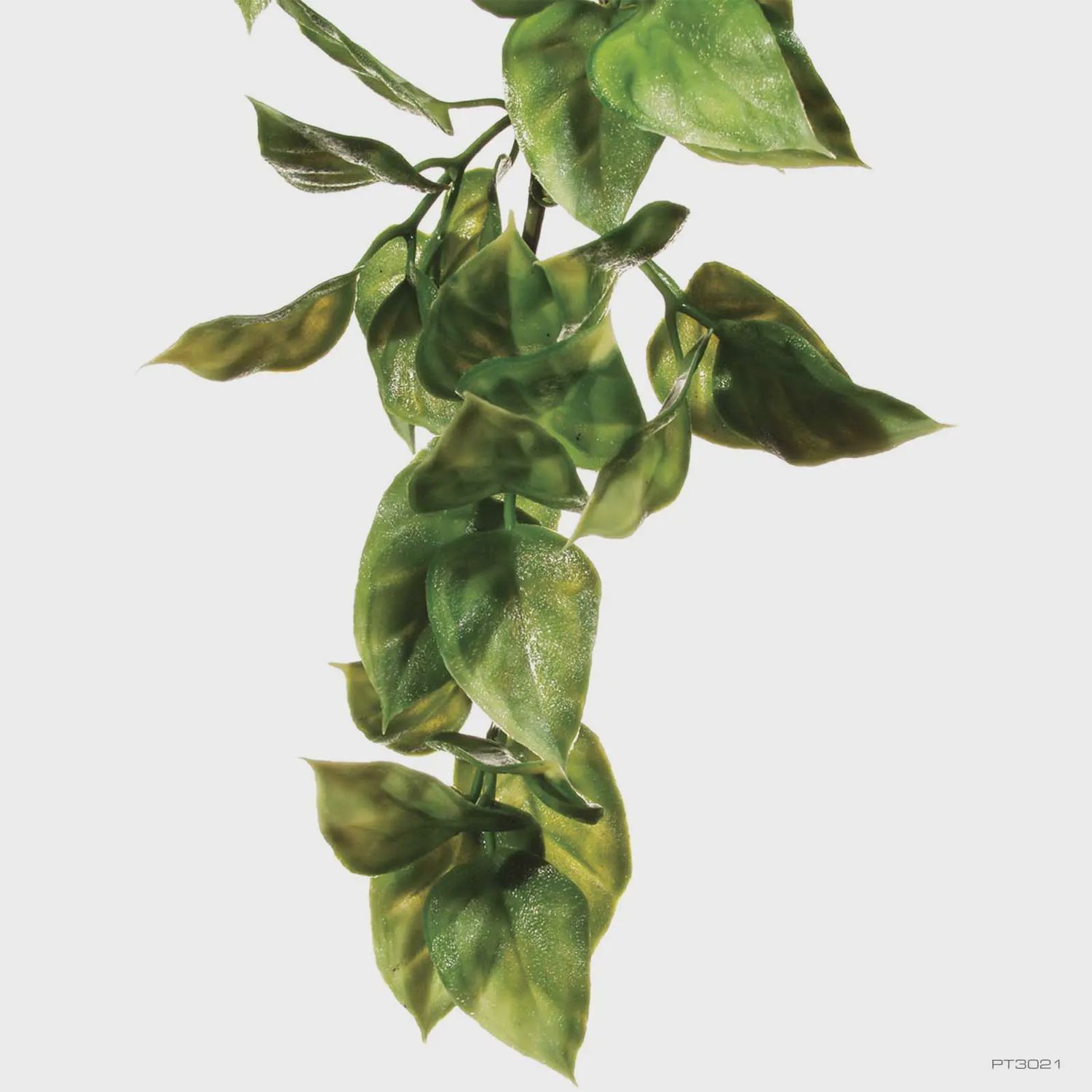 Exo Terra Shrub Plant Lg Amapallo
