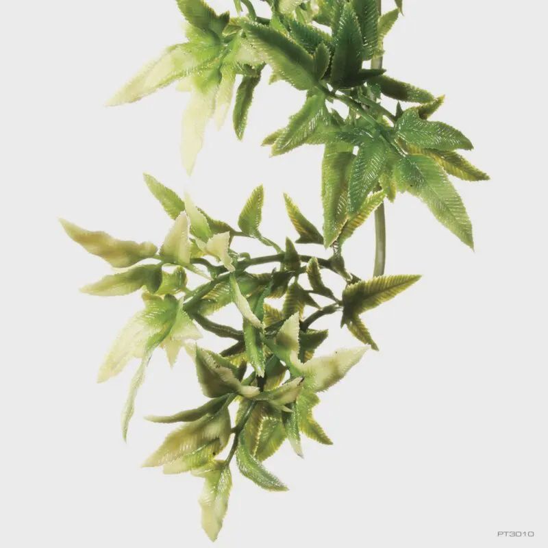 Exo Terra Shrub Plant Croton Sm