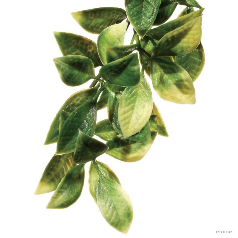 Exo Terra Shrub Plant Med Ampallo