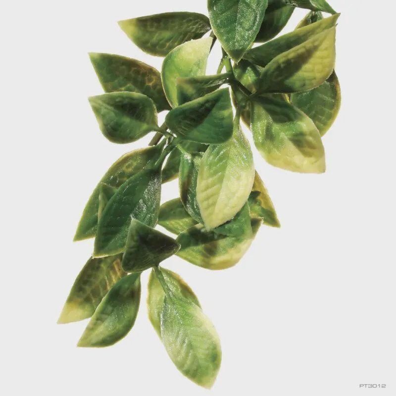 Exo Terra Shrub Plant Med Mandarin