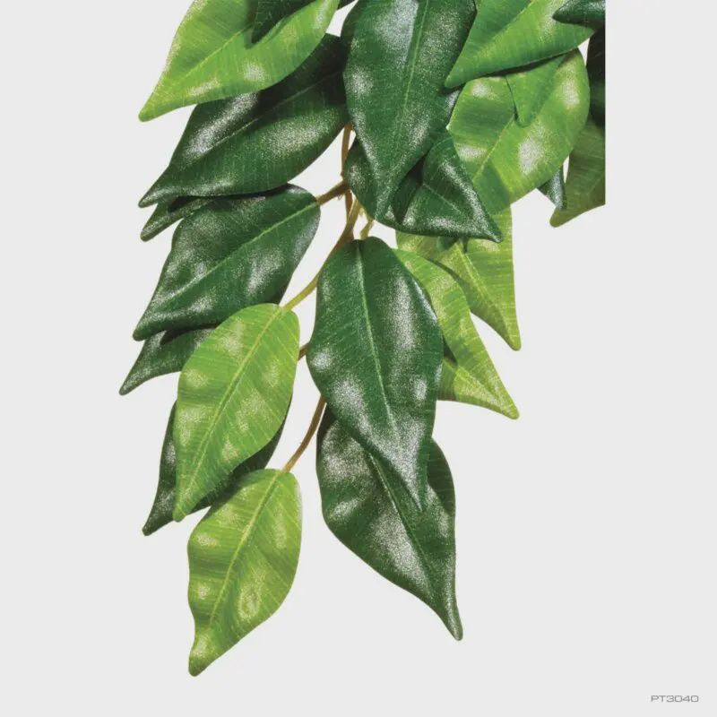Exo Terra Silk Plant Med Ficus