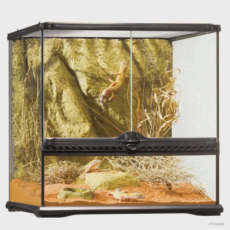 Exo Terra Bio Active Terrarium small/wide