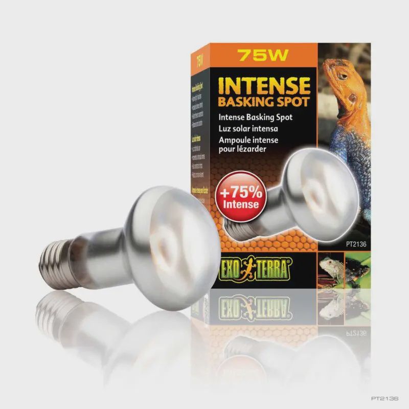 Exo Terra Intense Basking Spot S20/75W