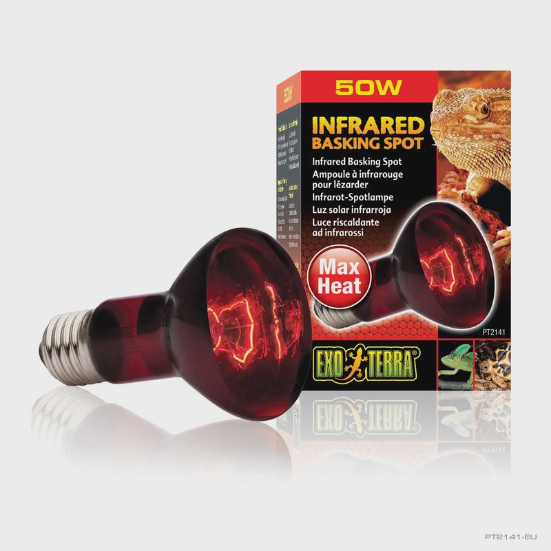 Exo Terra Basking Spot Lamp R20/50W