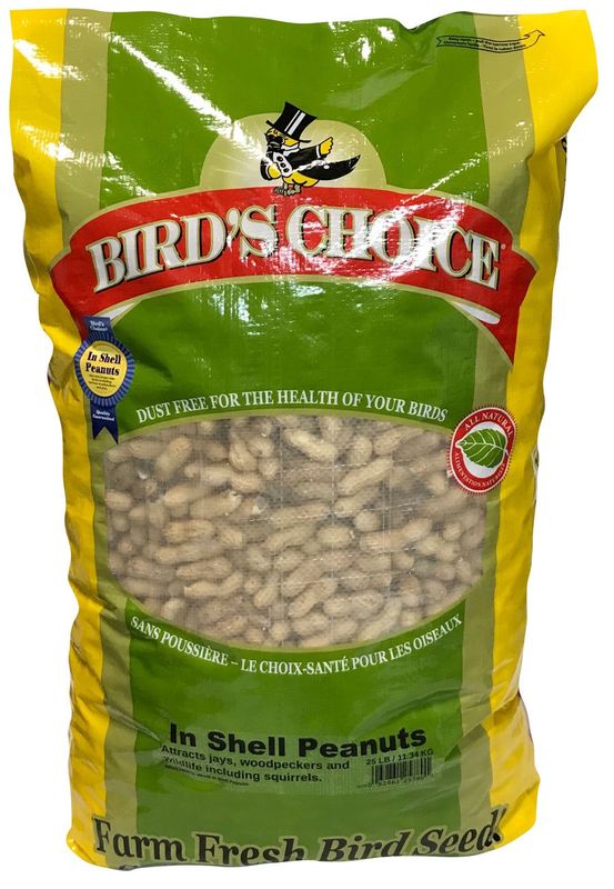 In Shell Peanuts 22LB Bag
