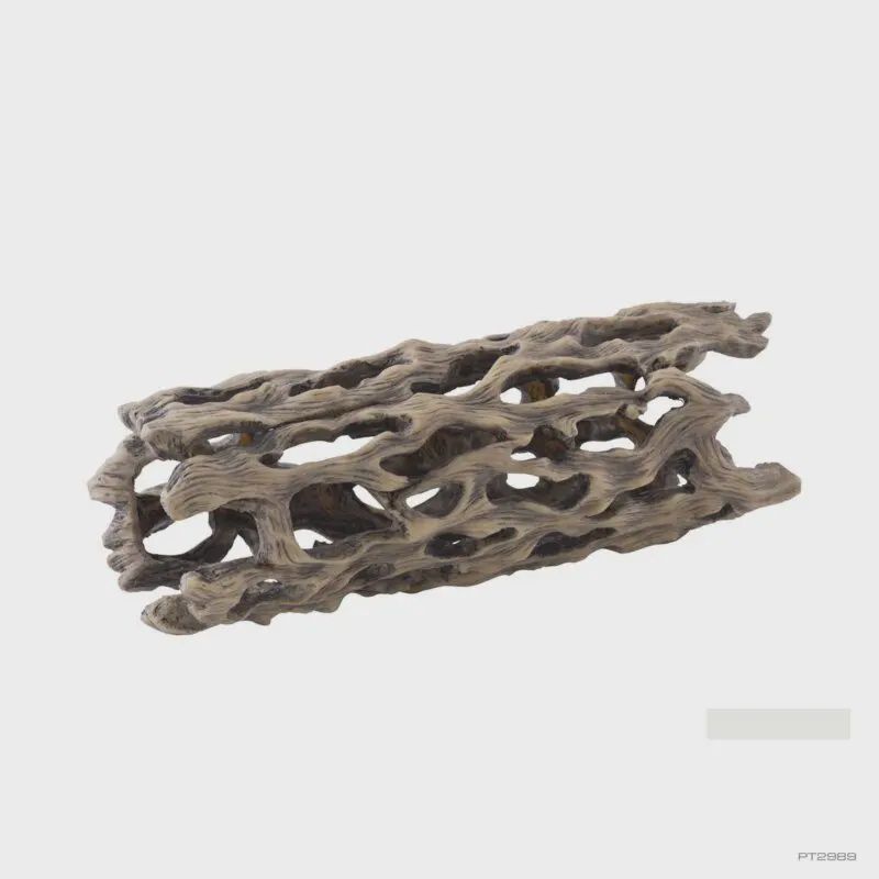 Exo Terra Cholla Cactus Skeleton Med