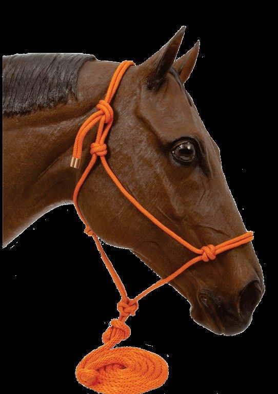 Rope Halter Orange