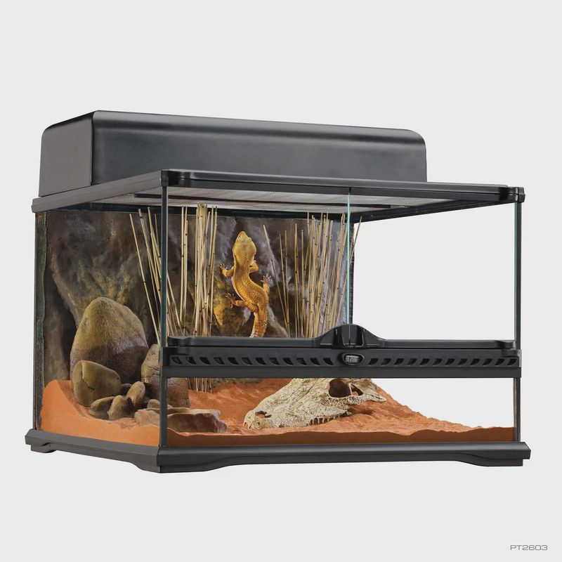 Exo Terra All Glass Terrarium w/Background 45x45x30cm