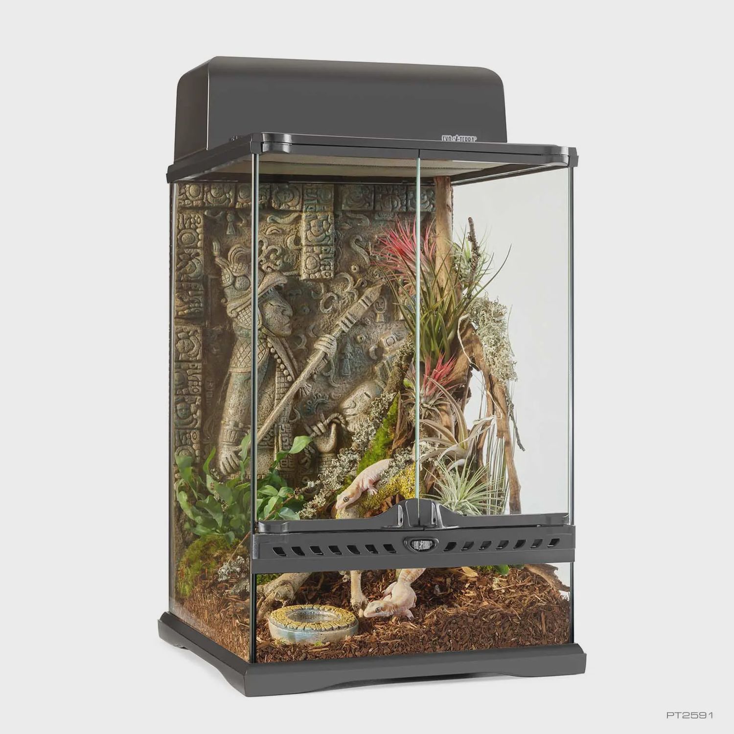Exo Terra Aztec Terrarium Mini Tall