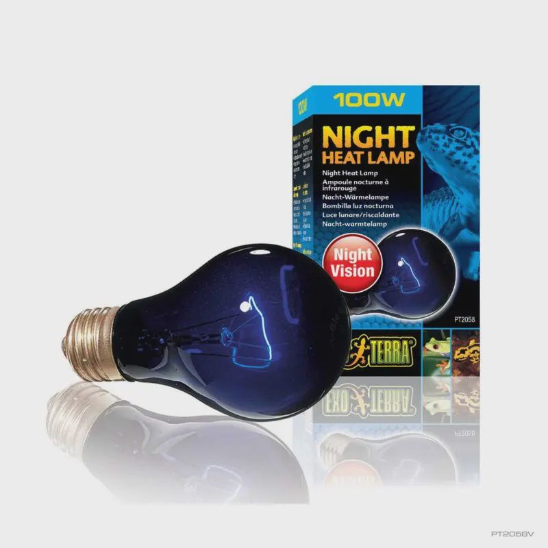 Exo Terra Night Heat Lamp 100W
