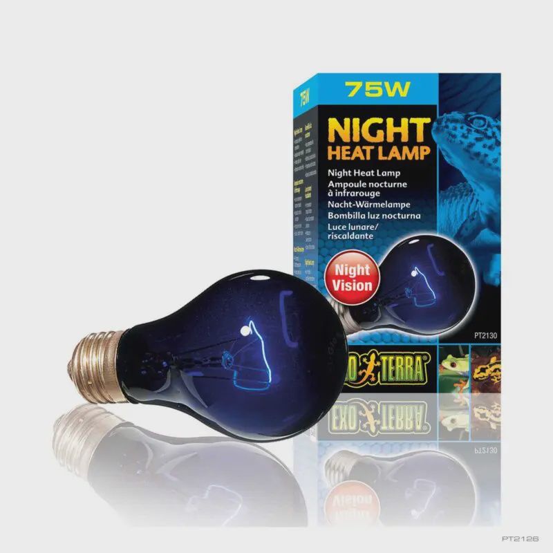 Exo Terra Night Heat Lamp A19/75W