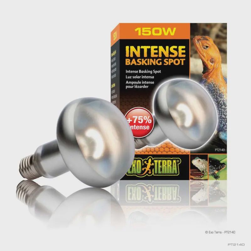 Exo Terra Intense Basking Spot Light Bulb 150W
