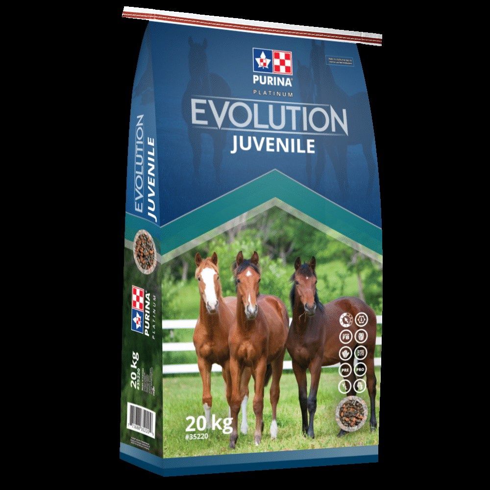 Purina Evolution Juvenile Horse Feed 20kg