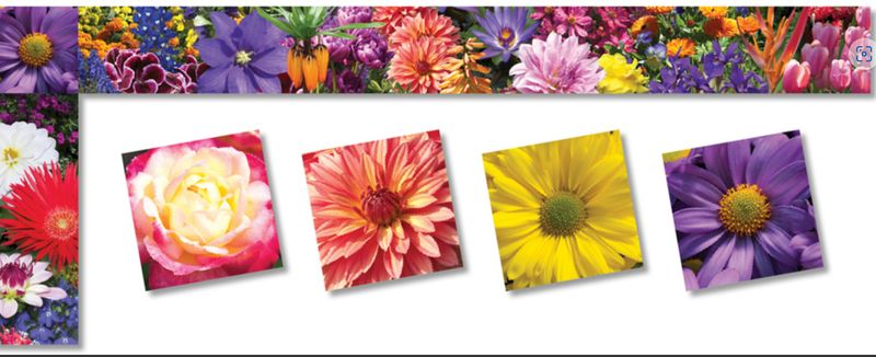 Flower Garden - Trimmers, All Around the Board