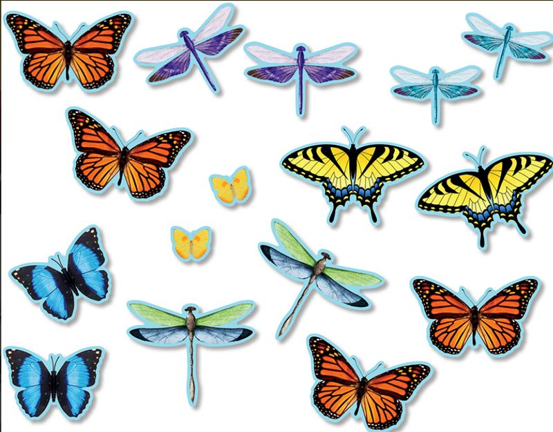 Butterflies &amp; Dragonflies - Bulletin Board Accents