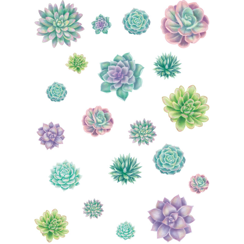 Rustic Bloom Succulents Accents - Assorted Sizes