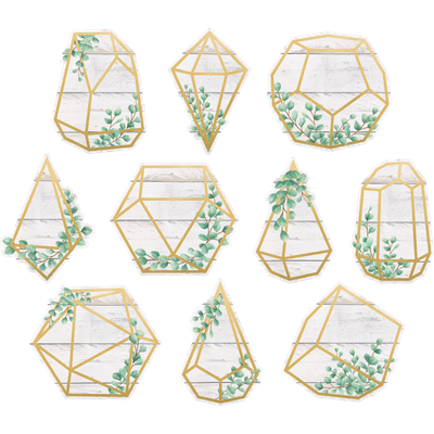 Eucalyptus Geometric Terrariums Accents