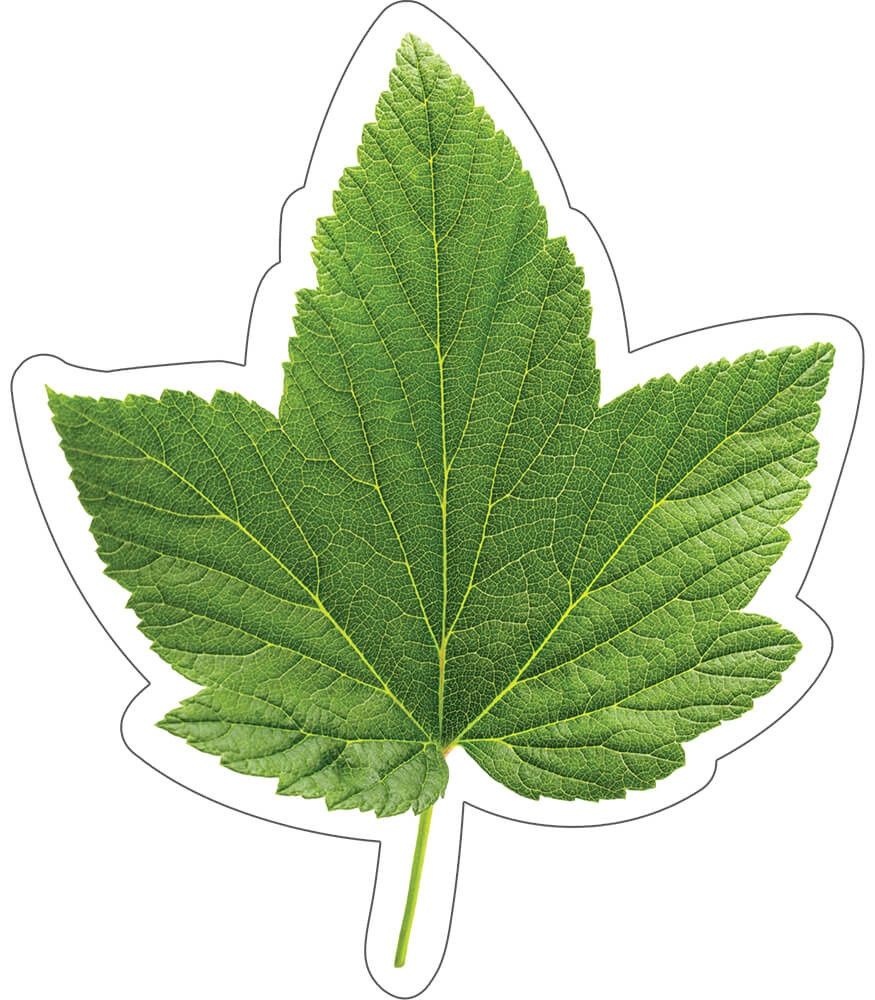 Woodland Whimsy Green Leaf Cut,Outs