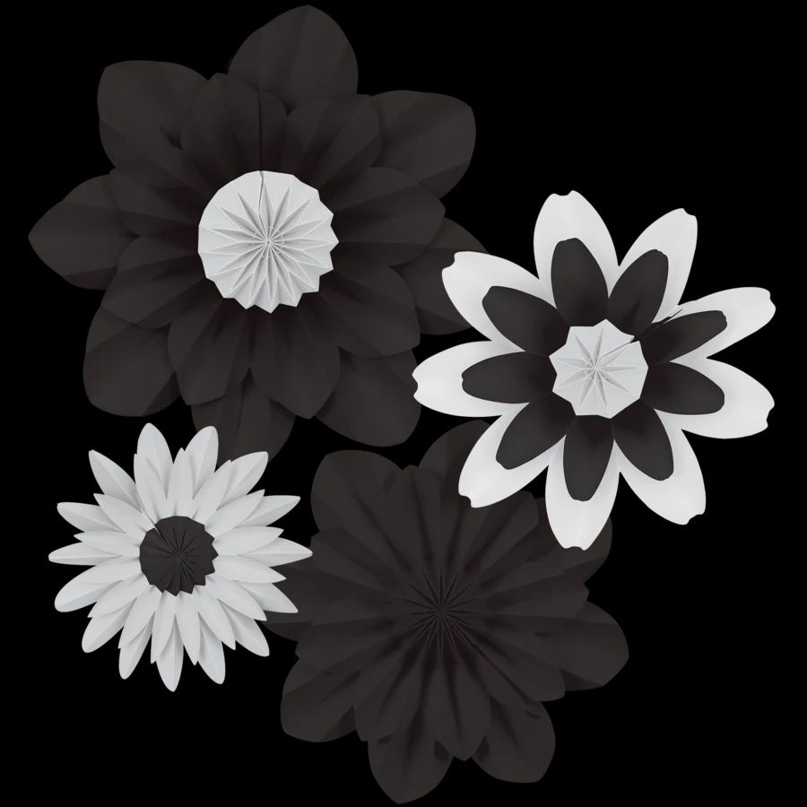 Black &amp; White Paper Flowers