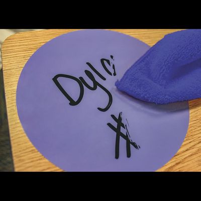 Spot On® Dry-Erase Desktop Writing Spots Bright Circles - 10-1/2"