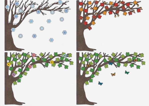 Tree For All Seasons Bulletin Board