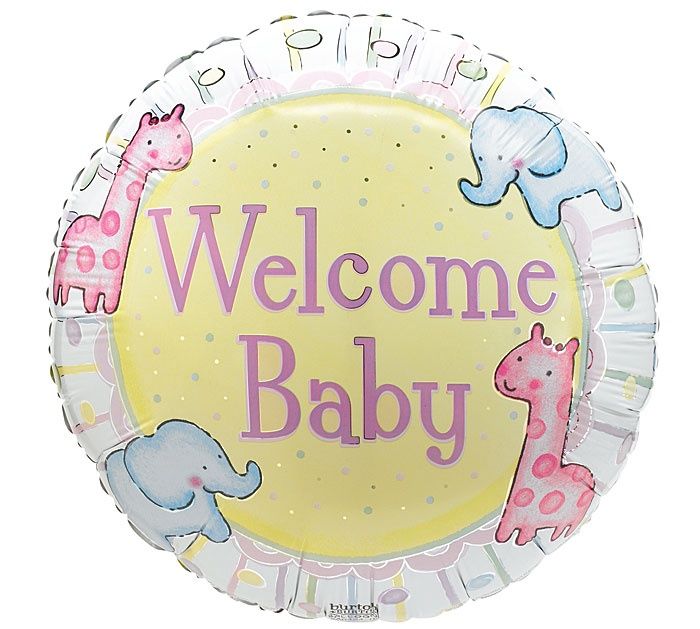 BBY 17"*PKG* ANIMAL CRACKE