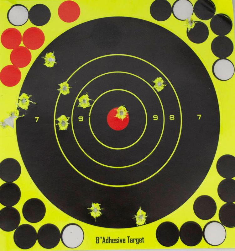 Mjoelnerhunting selbstmarkierende Zielscheibe