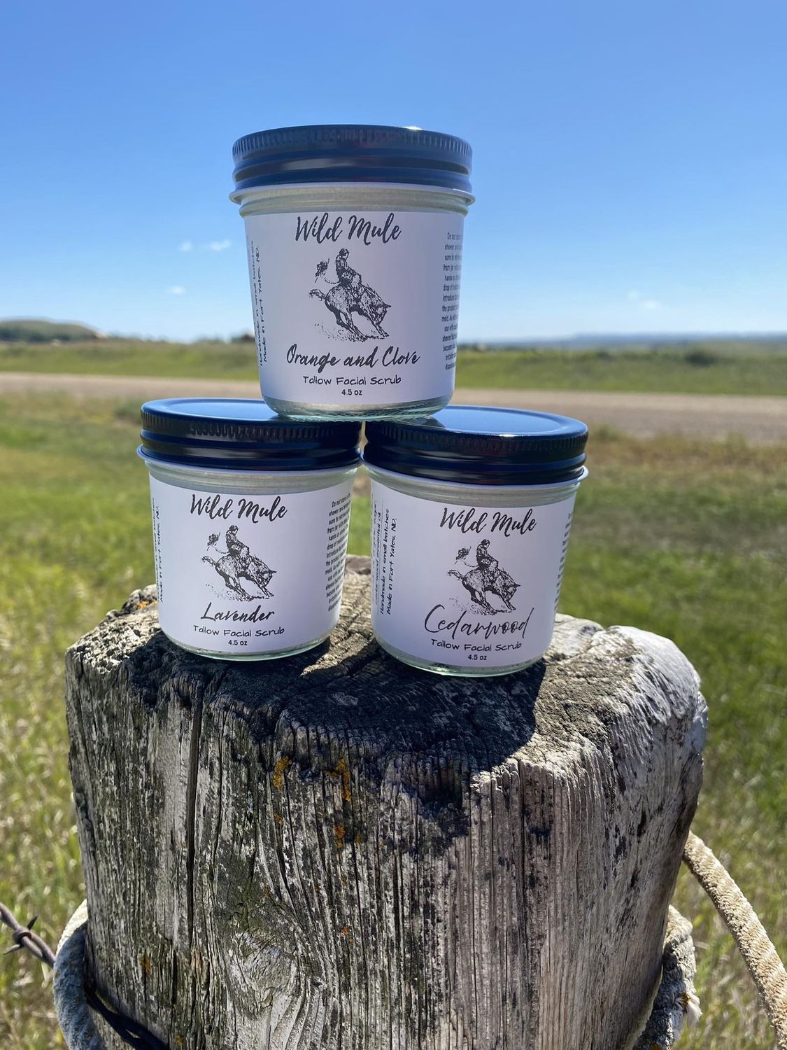 WILD MULE TALLOW FACIAL SCRUB