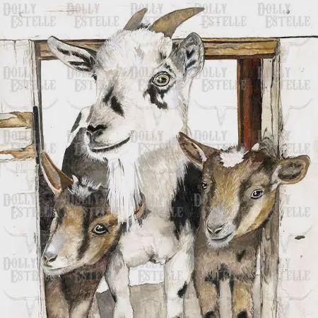 DOLLY ESTELLE 11X14 ART PRINT - THREE AMIGOS