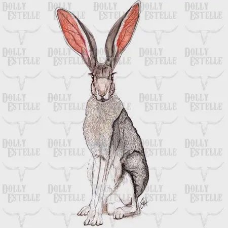 DOLLY ESTELLE TEA TOWEL - JACK THE JACKRABBIT