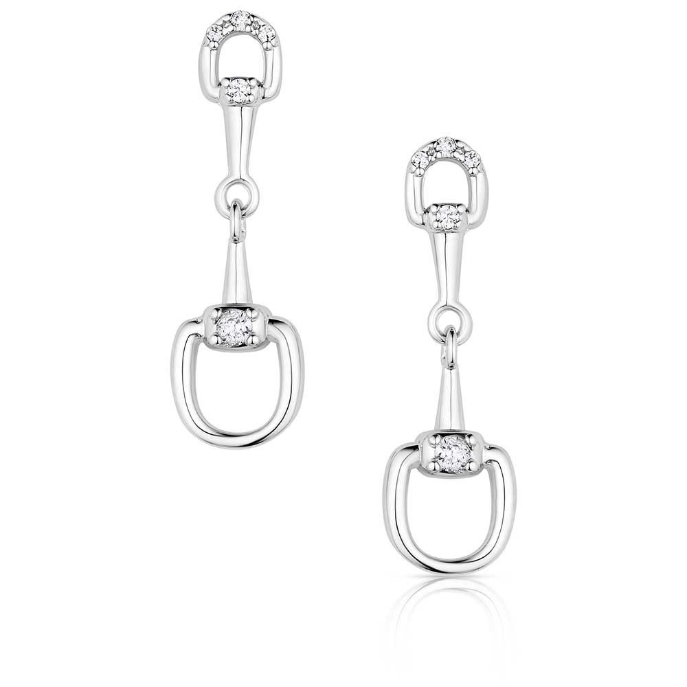 MONTANA SILVERSMITHS ENJOY THE RIDE EARRINGS