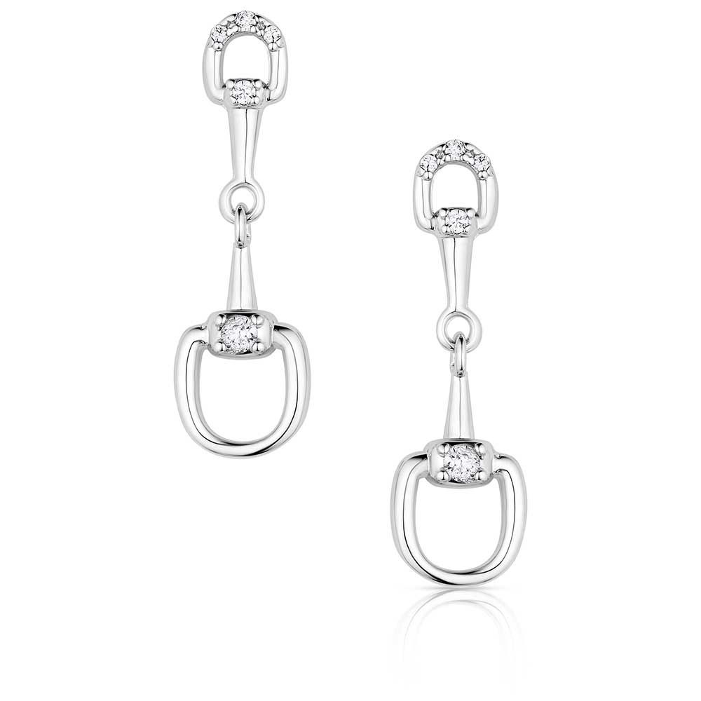 MONTANA SILVERSMITHS ENJOY THE RIDE EARRINGS