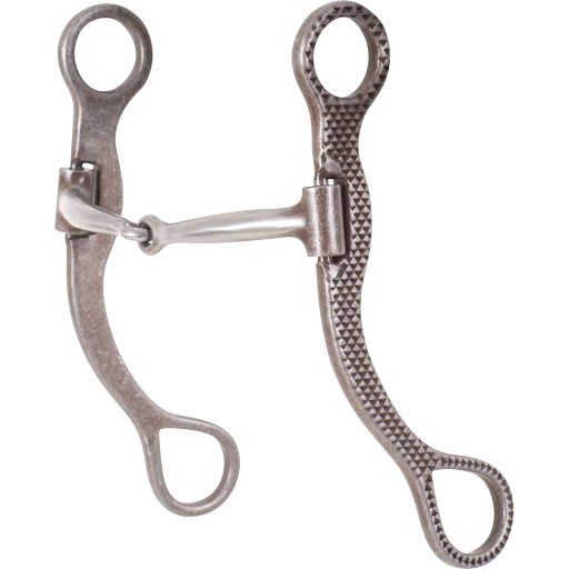 RASP STRAIGHT SHANK BIT WITH SMOOTH BAR