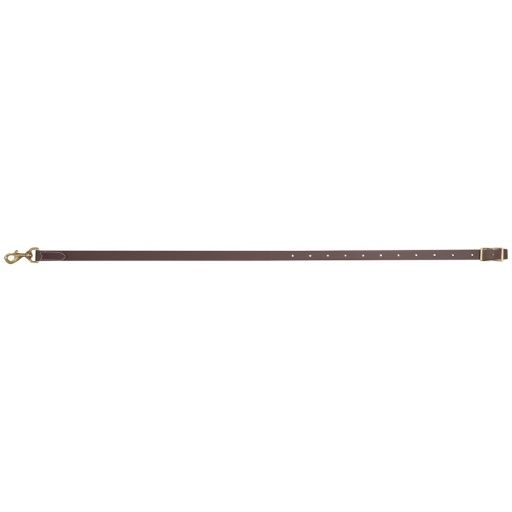 TIE-DOWN STRAP, BIOTHANE 2, SIZE: 3/4-inch