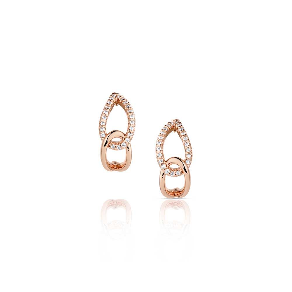 MONTANA SILVERSMITHS ROSE OF THE ROCKIES EARRINGS
