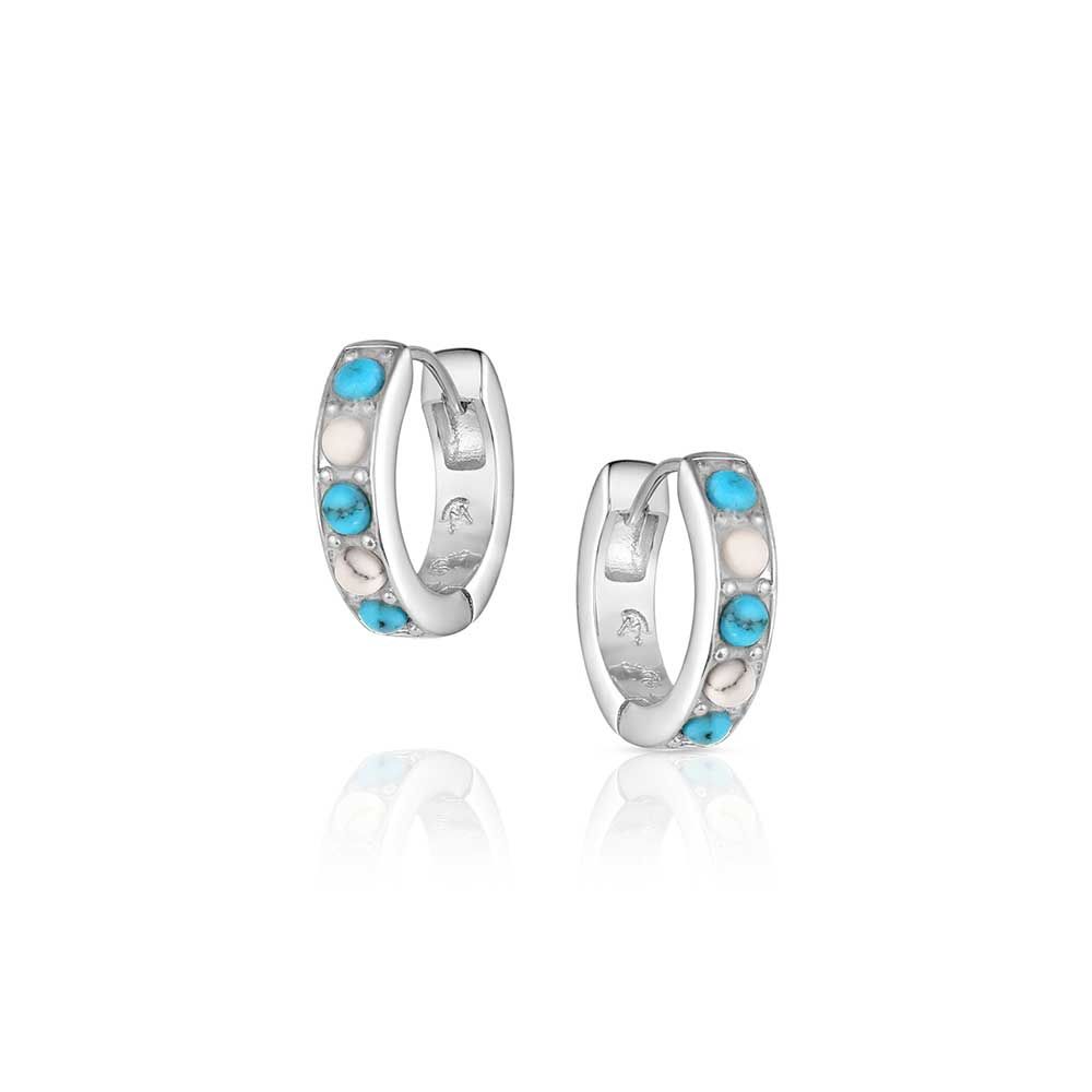 MONTANA SILVERSMITHS CIRCLE THE WEST EARRINGS