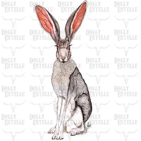 DOLLY ESTELLE TEA TOWEL - JACK THE JACKRABBIT