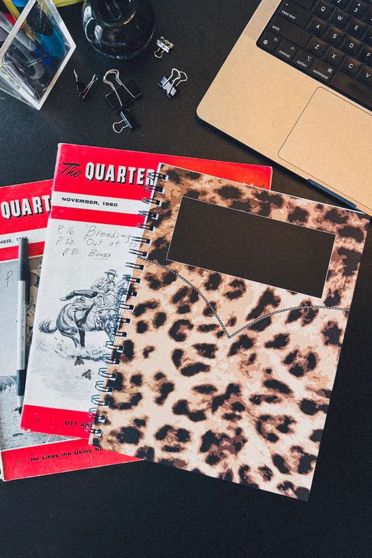 2 FLY CO. "NOTEWORTHY" SPIRAL NOTEBOOK
