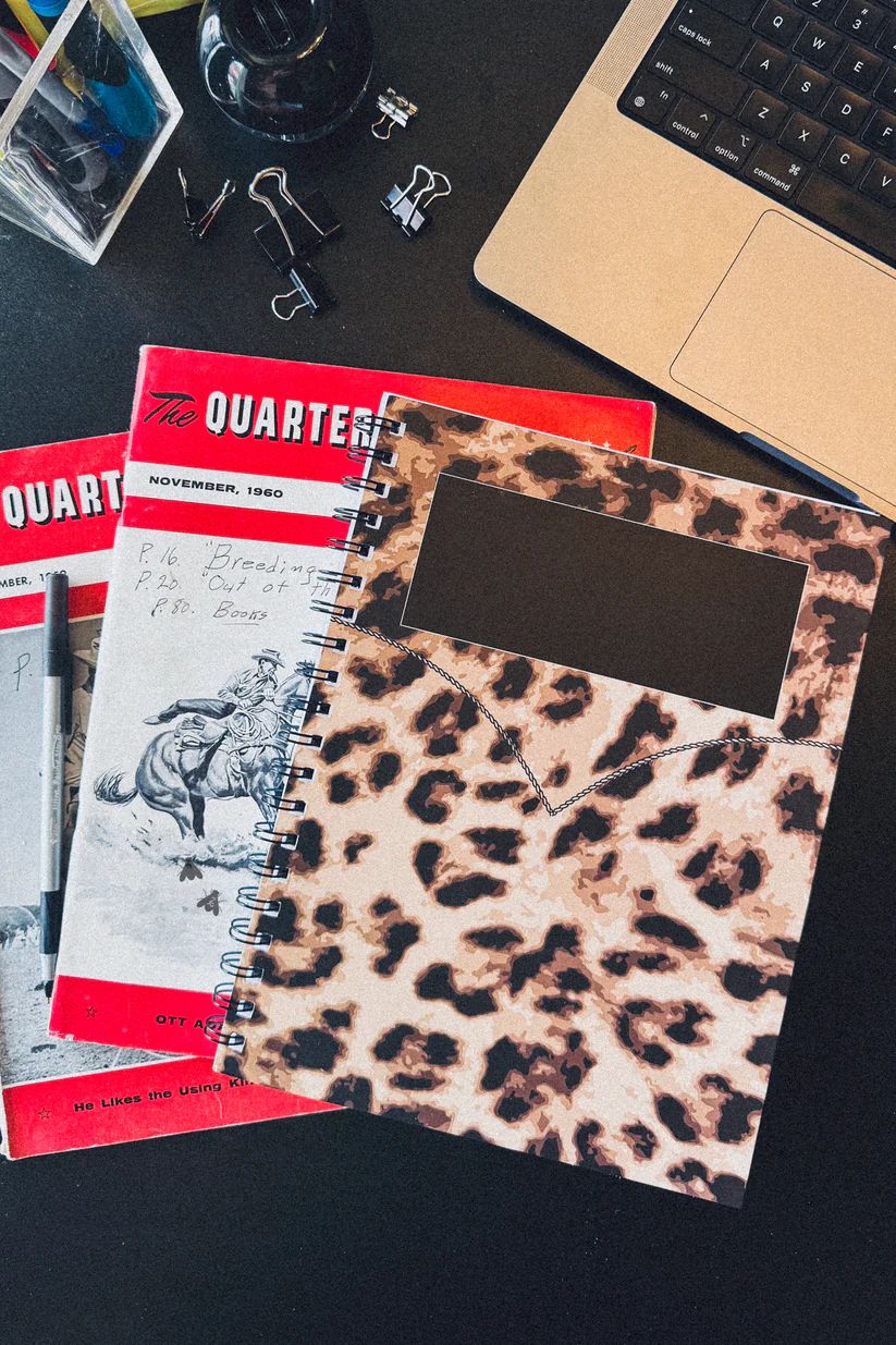 2 FLY CO. "NOTEWORTHY" SPIRAL NOTEBOOK, DESIGN: MEOWDY