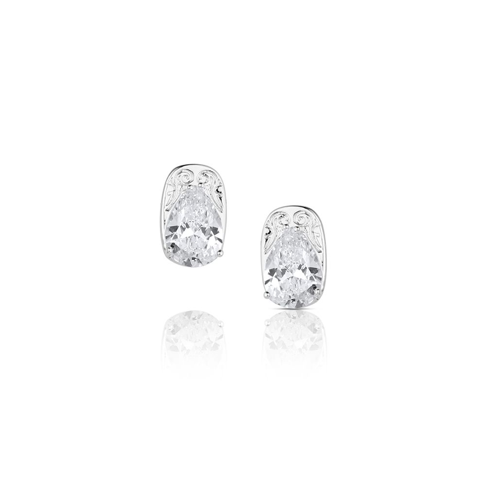 MONTANA SILVERSMITHS WHISPERED HORIZON CRYSTAL EARRINGS