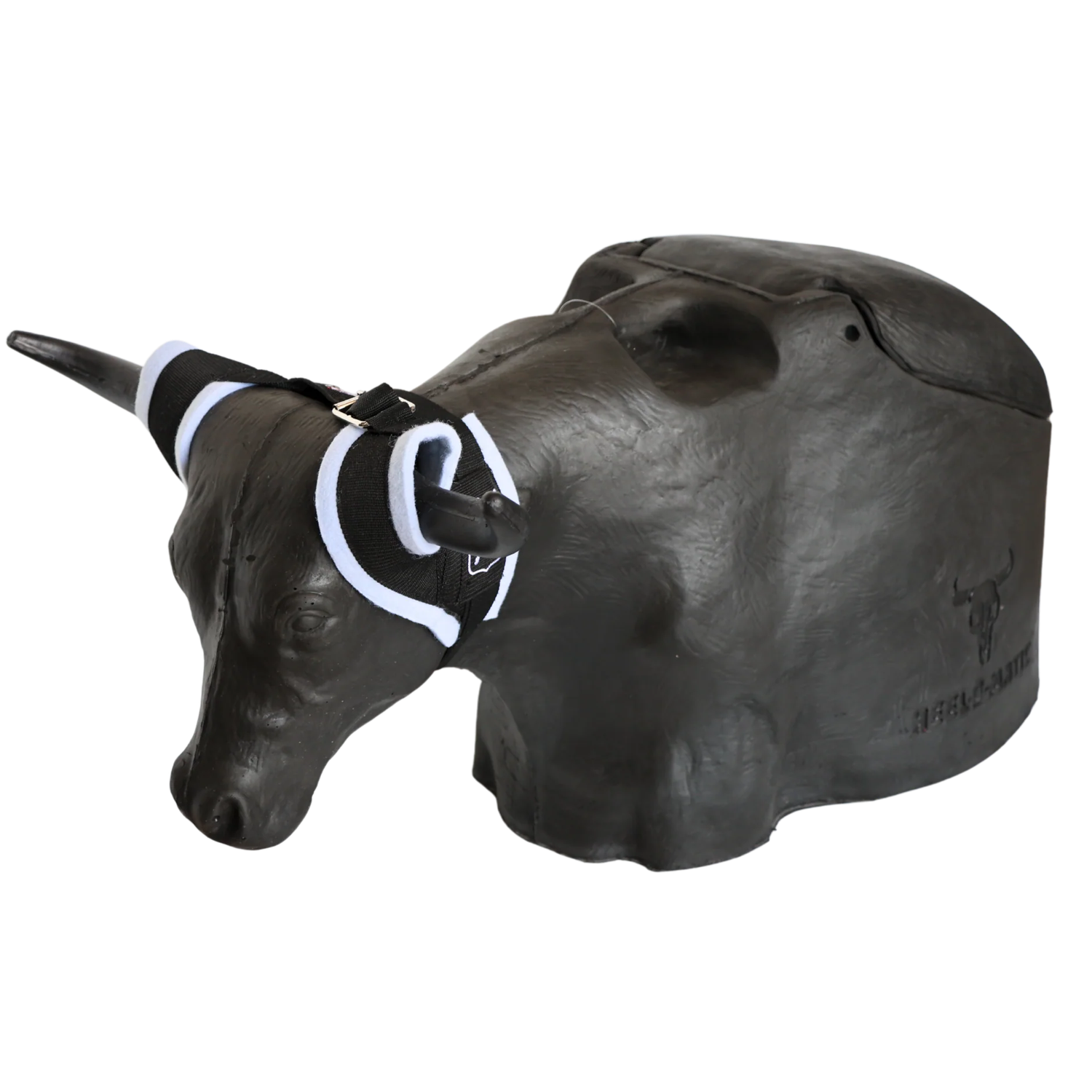 SMARTY BONES 2.0