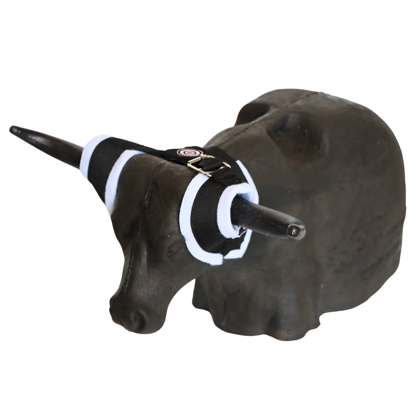 SMARTY LEAPSTEER